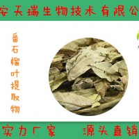 番石榴叶提取物-厂家  番石榴叶浸膏