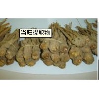 桑寄生提取物-厂家   价格优惠