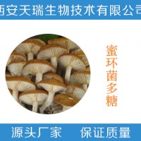 蜜环菌提取物 多糖30%-50%