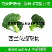 天然西兰花提取物 萝卜硫素10% 萝卜硫苷 包邮