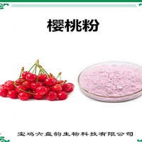 樱桃浓缩粉 樱桃粉 比例提取可定制 植物萃取原料