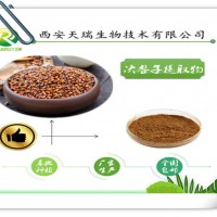 决明子提取物10:1决明子粉