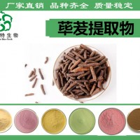 荜茇提取物 厂家第三方检测 99.9%荜茇速溶粉