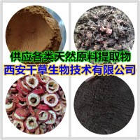 红根提取物红根浓缩粉红根浸膏粉