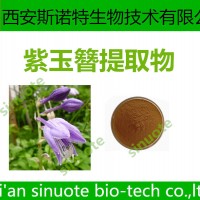 紫玉簪提取物 20：1 紫萼粉 原料提取
