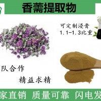 香薷提取物 10:1香薷粉 厂家免费包邮