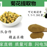 主营菊花提取物 10:1萃取菊花粉 水溶性原料