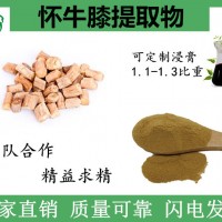 怀牛膝提取物 提取怀牛膝多肽 厂家价格优惠