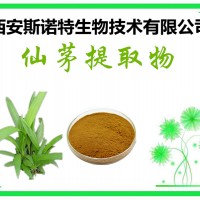 仙茅提取物  仙茅原料提取 包邮 斯诺特厂家