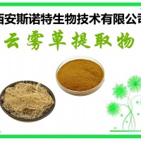 云雾草提取物 云雾草提取 包邮 斯诺特现货