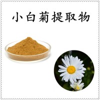 小白菊提取物 菊花提取物 自有工厂 质量稳定 资质齐全