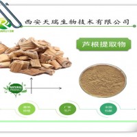 芦根提取物10:1厂家供应