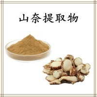 山奈提取物 棕黄色精细粉末 斯诺特源头工厂 现货直发