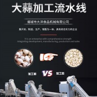 新型大蒜加工设备 省人工型蒜米生产线 自动化大蒜加工设备