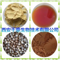 淡竹茹提取物淡竹茹浓缩粉淡竹茹浸膏粉竹茹粉