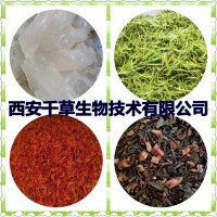 榛花提取物榛花浓缩粉榛花浸膏粉榛子花粉