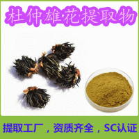 杜仲雄花提取物