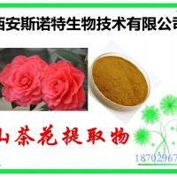 山茶花提取物 斯诺特提取加工 可免费试样