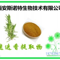 迷迭香提取物 60%鼠尾草酸 斯诺特加工萃取