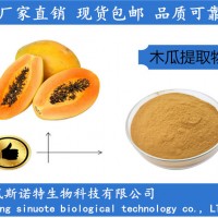 木瓜提取物10：1 木瓜浓缩粉 高活力蛋白酶