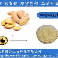 生姜提取物 生姜萃取粉 食品级原料工厂直销