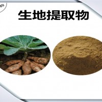 生地提取物 生地粉 植物提取物 可定制