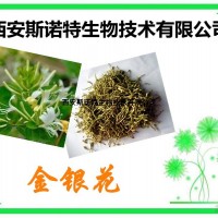 绿原酸25% 金银花提取物 金银花粉 包邮