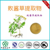 败酱草提取物 现货速溶粉 定制生粉原粉