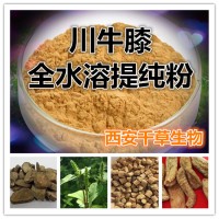 川牛膝浓缩汁粉 供应植物提取物 定做流浸膏干膏