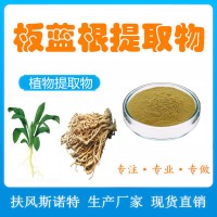 板蓝根提取物 扶风斯诺特工厂