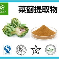 菜蓟提取物 洋蓟酸5% 朝鲜蓟提取物 生产厂家批发零售