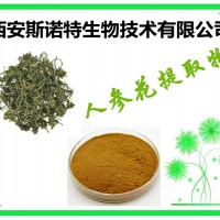 人参花提取物 人参花提取粉 发货快 斯诺特包邮