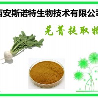 蔓菁提取物 精细粉末 斯诺特生物 发货快