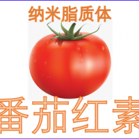 纳米脂质体包裹番茄红素