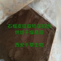 石榴皮浓缩粉供应植物提取物易溶粉 定做多种规格纯浸膏