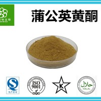 蒲公英黄酮 10%~40%黄酮含量 黄酮提取厂家 现货供应