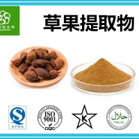 草果提取物 草果仁提取物 草果子提取物 生产厂家批发价