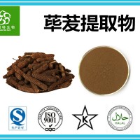 荜茇提取物 10:1荜茇粉 水溶性 扶风斯诺特生产基地工厂