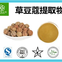 草豆蔻提取物 草蔻提取物 豆蔻提取物 源头植提厂家批发价