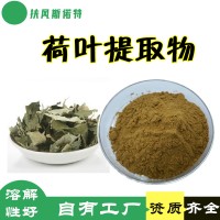 荷叶提取物 资质齐全 荷叶粉