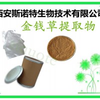 jinqian草提取物 草黄酮 10:1 全草提取