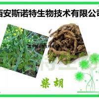 柴胡皂甙10% 柴胡提取物 斯诺特产品