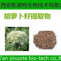 胡萝卜籽提取物 原料萃取 斯诺特生物