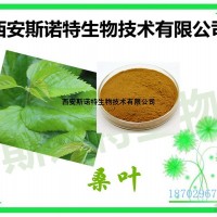 桑叶提取物 桑叶粉 Mulberry Leaf PE