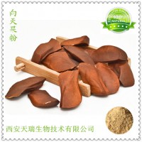 向天果提取物 向天果粉