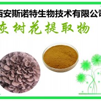 灰树花提取物 10:1 原料提取 灰树花粉 包邮