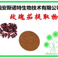 玫瑰茄提取物 花青素 25% 玫瑰茄粉质量