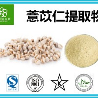 薏苡仁提取物 薏苡仁提取粉 薏米提取物 质量稳定 工厂直销