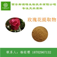 玫瑰花提取物玫瑰花粉玫瑰浸膏 量大从优包邮