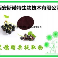 黑醋栗/黑加仑提取物 25% 花青素 供应中